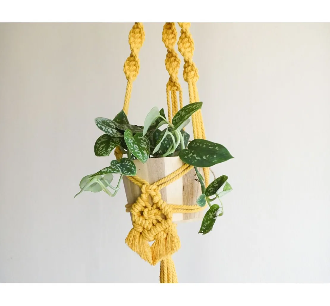 Anchor Crafty
