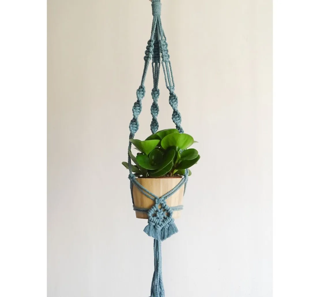 Anchor Crafty
