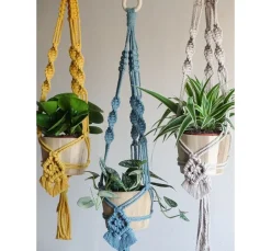 Anchor Crafty