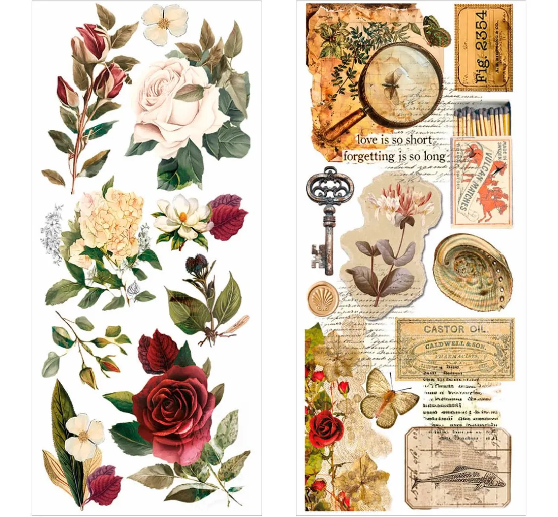 Art Stickers "Cabinet of Curiosities"