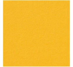 Baumwoll Single-Jersey