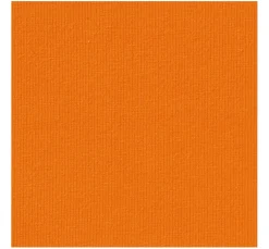 Baumwoll Single-Jersey