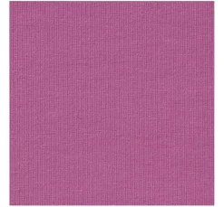 Baumwoll Single-Jersey