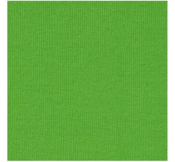 Baumwoll Single-Jersey