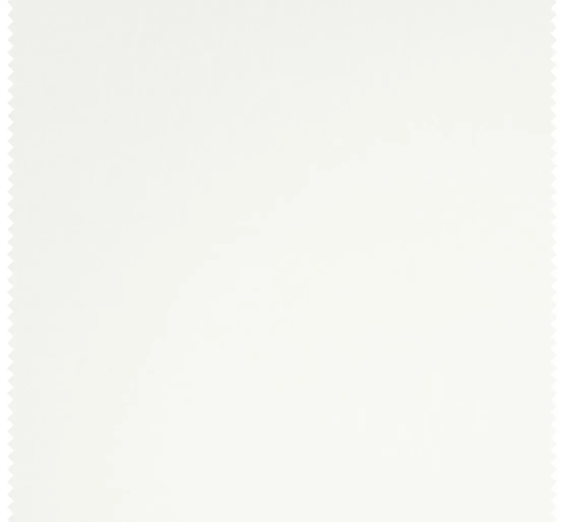 Baumwoll Single-Jersey "Uni"