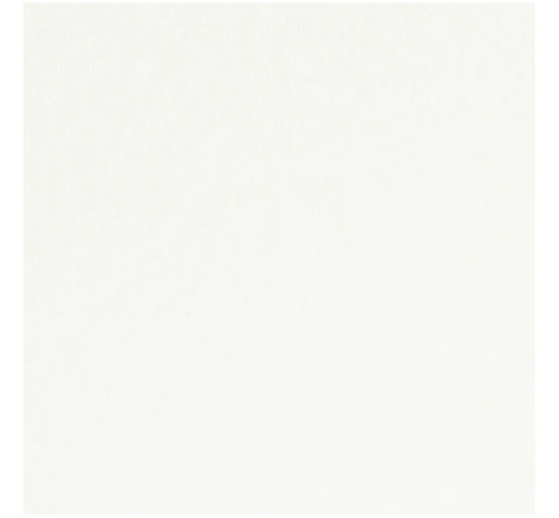 Baumwoll Single-Jersey "Uni"