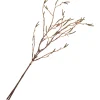 Birkenzweig-Bund