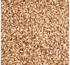 Dinkelspreu 250g