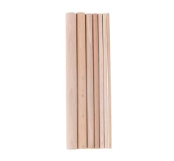 Dot Painting Holzsticks