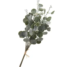 Eukalyptus Bund "Ella"