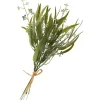 Eukalyptus-Bund mit Blüten