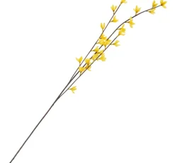 Forsythien Zweig