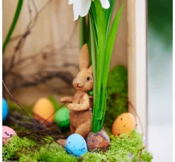 Frühjahrsblumen Mix mit Zwiebel