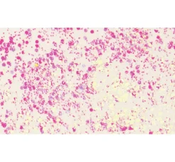 Glitter Flaky Glue