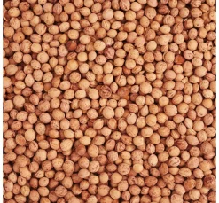 Kirschkerne 500g