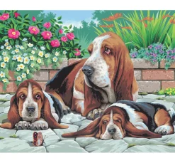 Malen nach Zahlen "Bassethunde"