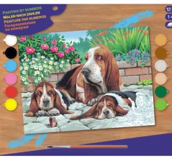 Malen nach Zahlen "Bassethunde"