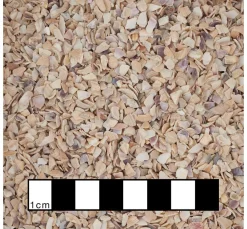 Muschelgranulat