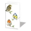Papiertaschentücher "Birds"