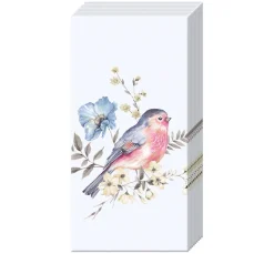 Papiertaschentücher "Birds"