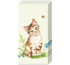 Papiertaschentücher "Cat Kira"