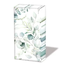 Papiertaschentücher "Eucalyptus all over"