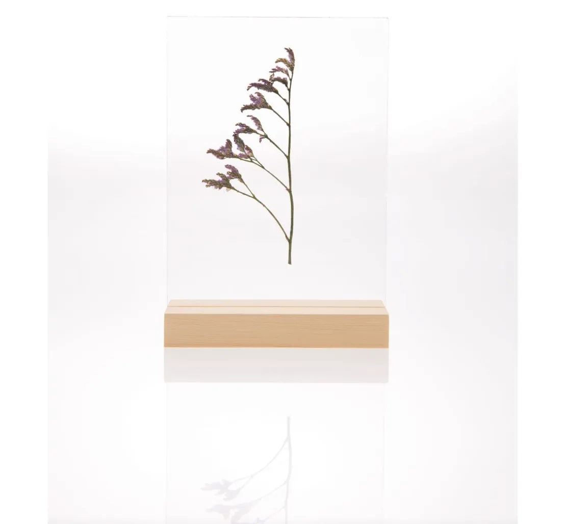 Rico Design Holzaufsteller mit doppelter Acrylscheibe, 10 x 15 cm