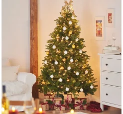 Tannenbaum