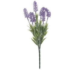 VBS Lavendel-Pick "Lavendula"