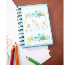 VBS Notizbuch 