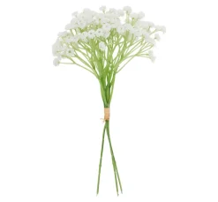 VBS Schleierkraut Bund "Florissa"
