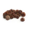 VBS Tannenzapfen, 250 g