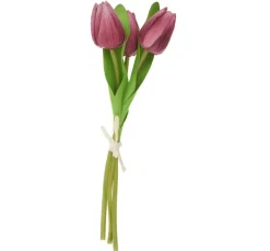 VBS Tulpe "Tammie"